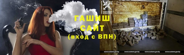 гашик Алексин