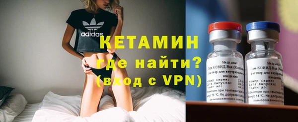 гашик Алексин