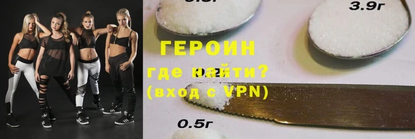 гашик Алексин