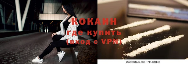 гашик Алексин