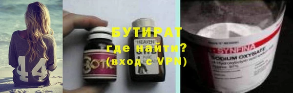 гашик Алексин