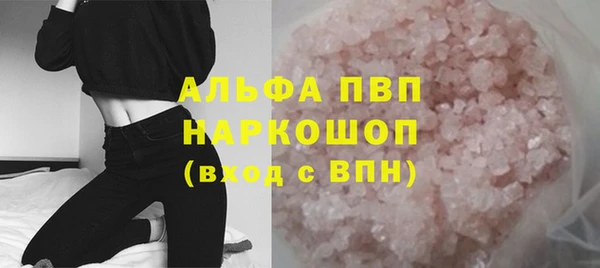 гашик Алексин