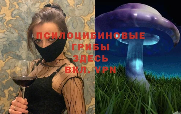 индика Алексеевка
