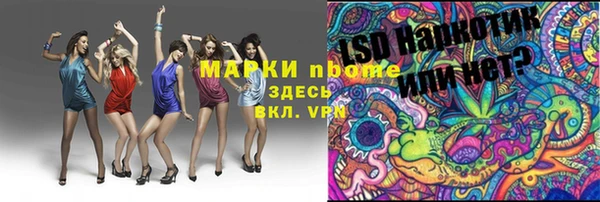 гашик Алексин