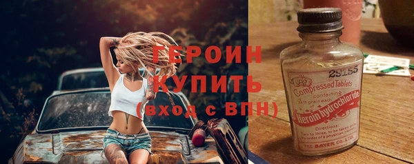 гашик Алексин