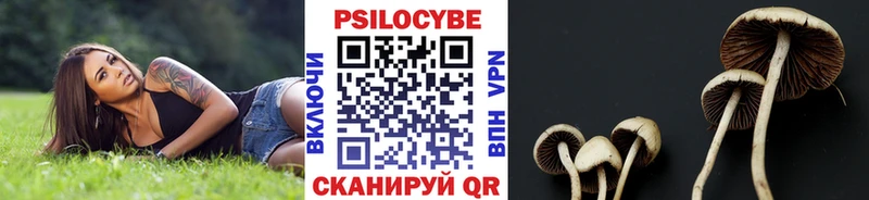 где можно купить наркотик  Нытва  кракен зеркало  сайты даркнета формула  Псилоцибиновые грибы Psilocybine cubensis 
